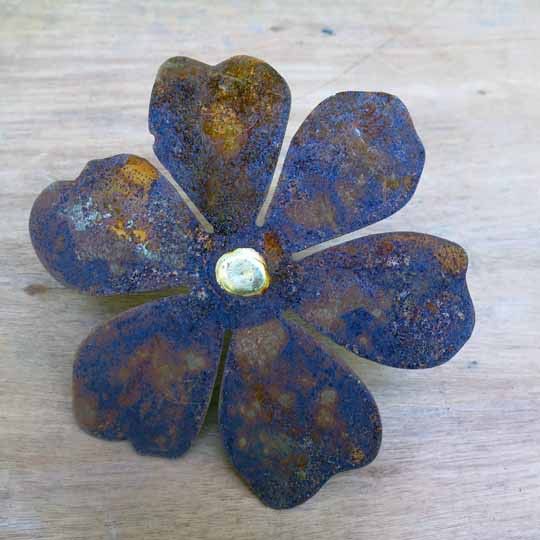 Edelrost Blüte mit Goldpunkt an Nagel groß