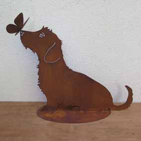 Edelrost Rauhaardackel mit Schmetterling