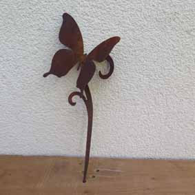 Edelrost Stab Schmetterling auf Curl